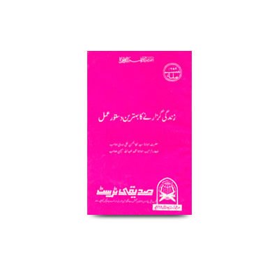 زندگی گزارنے ک بہترین دستورعمل | zindagi guzarne ka behtreen dastoor amal