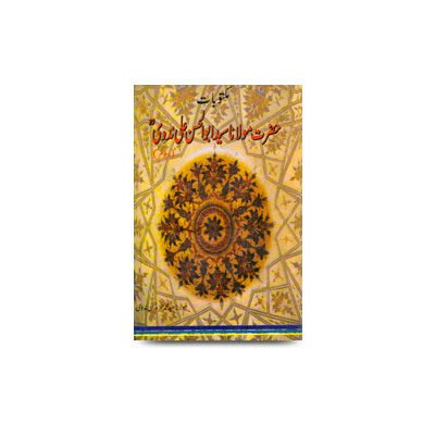 مکتوبات حضرت مولانا سید ابو الحسن علی ندوی (جلددوم) مولانا سید حمزہ حسنی ندوی | maktubaat-part-2-2