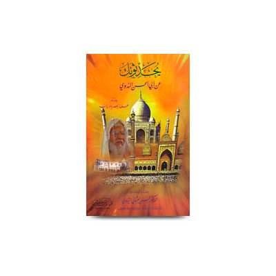 يحدثونك عن أبي الحسن الندوي الدكتور محسن العثماني الندوي | yuhaddisunaka an abil hasan annadwi